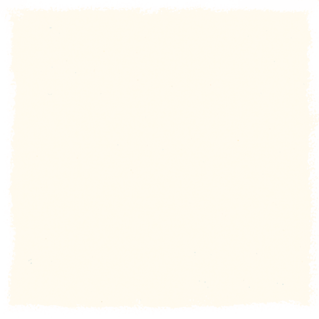 2101 Bílá krycí