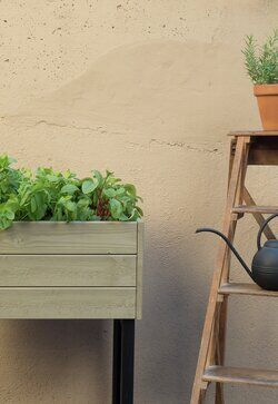 EcoGarden Ambiente