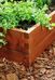 EcoGarden Ambiente